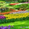 昭和記念公園