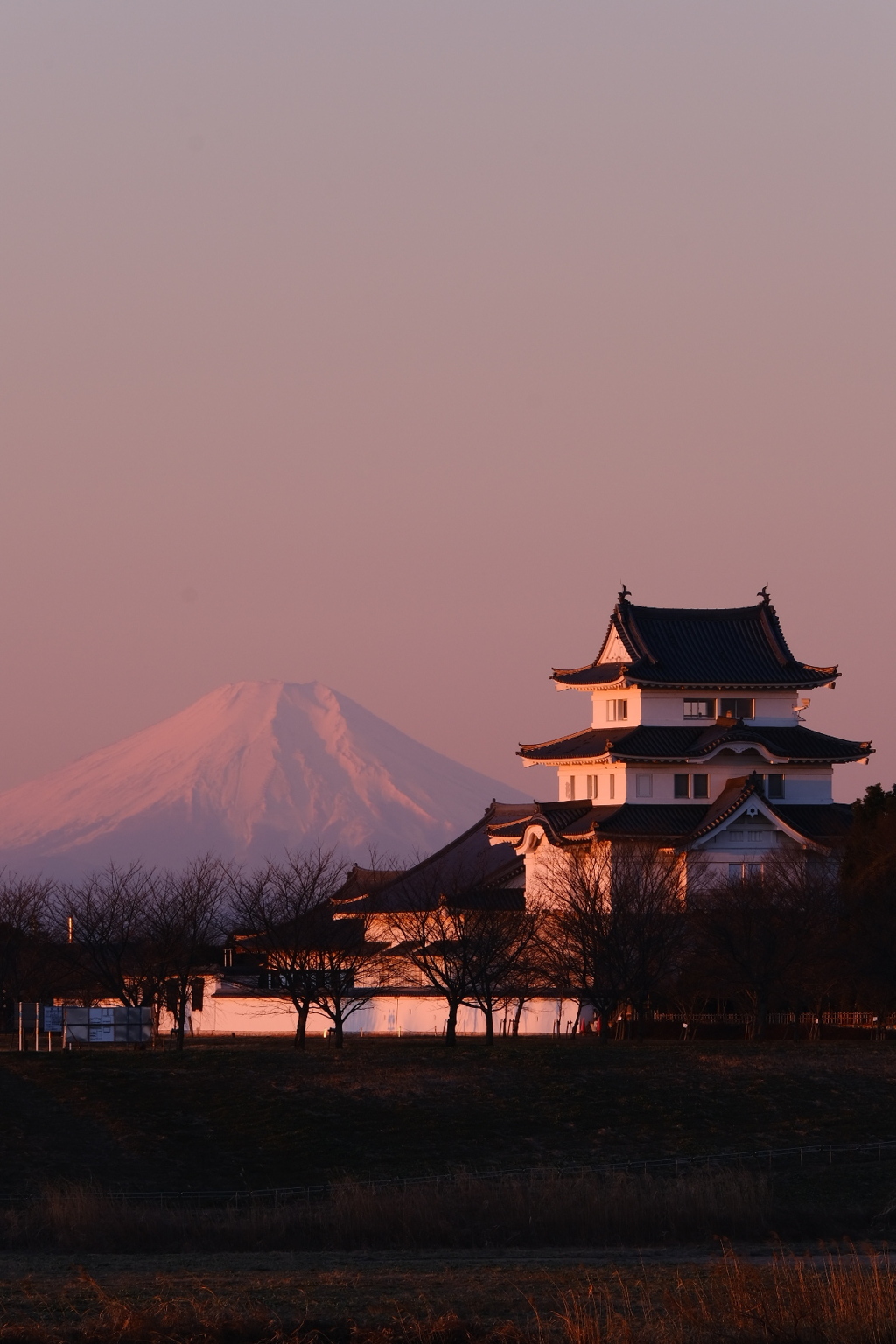 朝陽と対峙