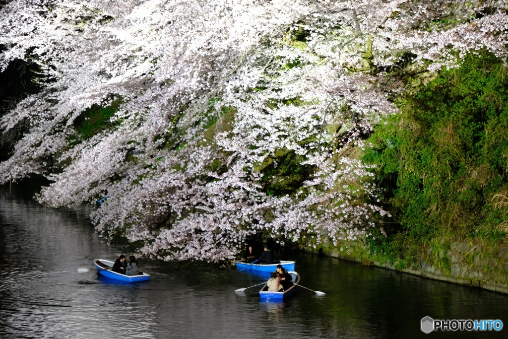 千鳥ヶ淵 II