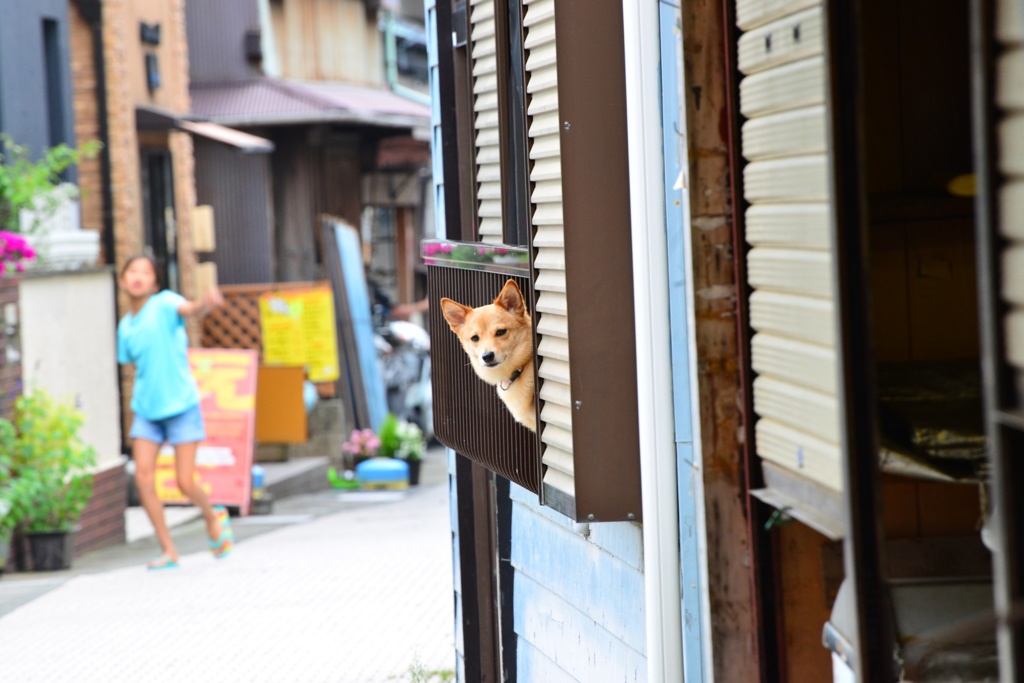 江ノ島路地裏