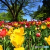 昭和記念公園II