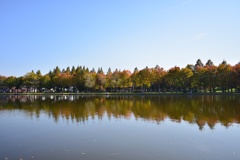 葛飾区水元公園