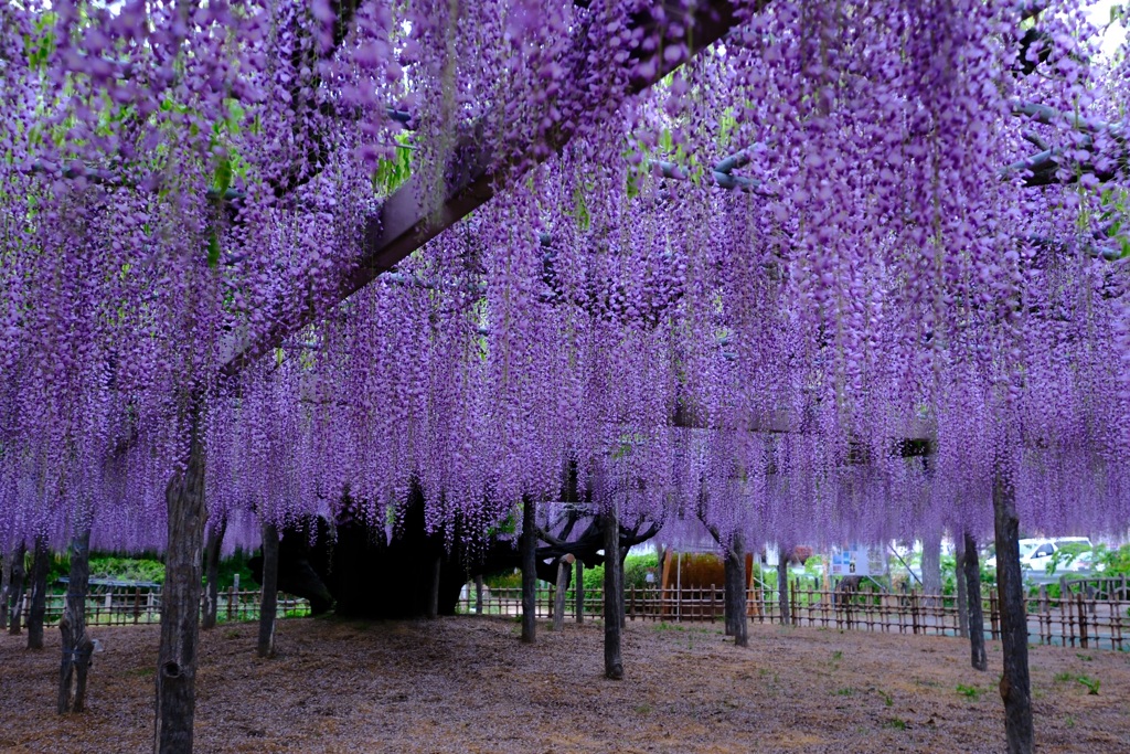 0玉敷神社