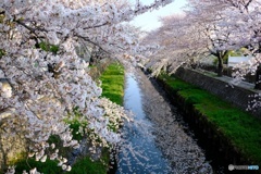 さいたま市鴻沼川