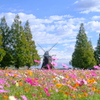 あけぼの山農業公園にて