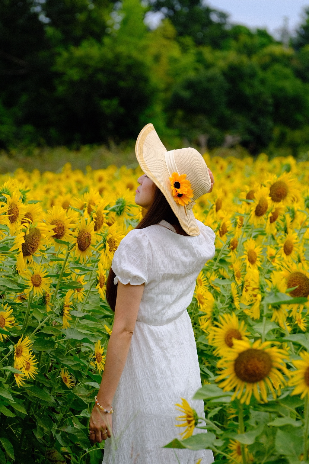 夏の思い出