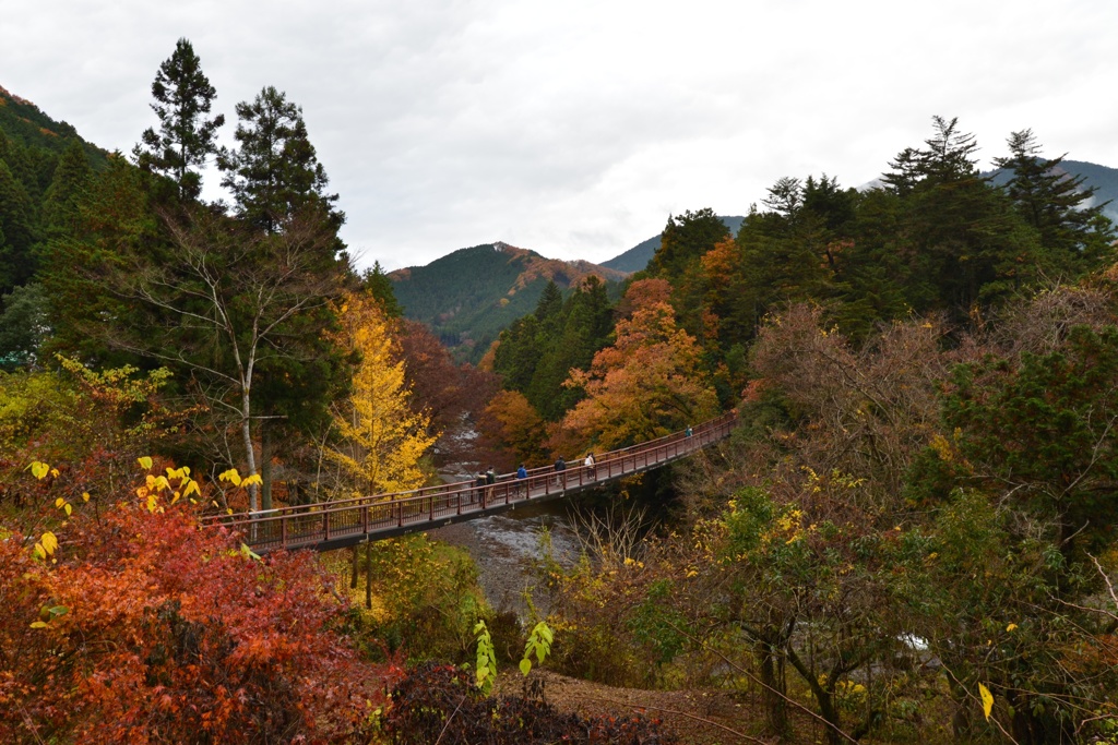 秋川渓谷