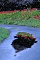 雨上がり