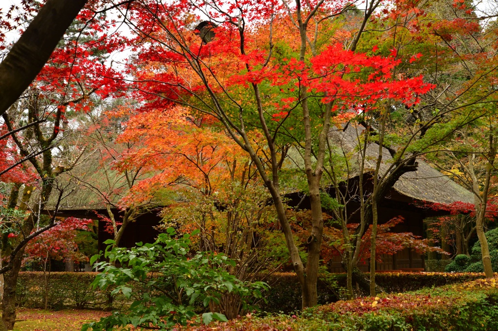 平林寺