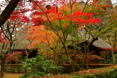 平林寺