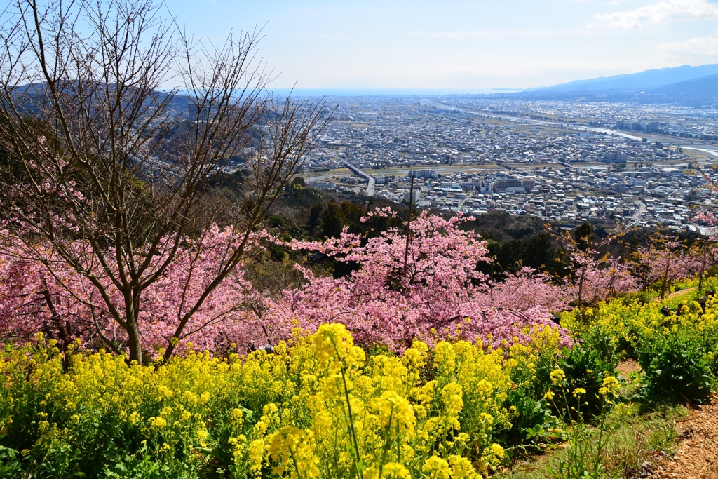 あとひと月もすれば、そこは