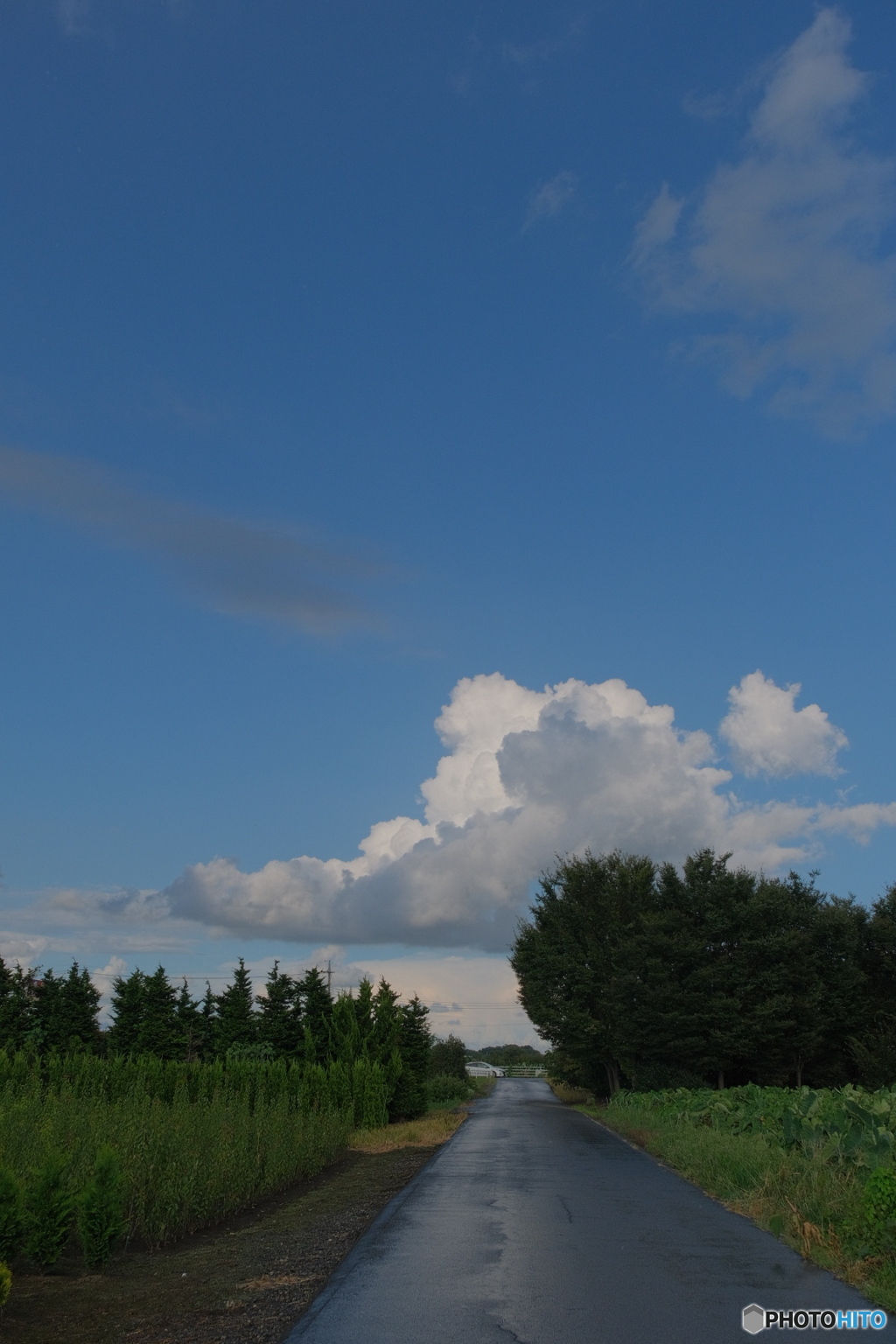 雨が降ったのち