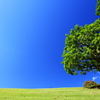 Blue Sky