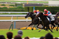京都競馬場