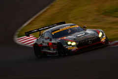 GAINER TANAX AMG GT3