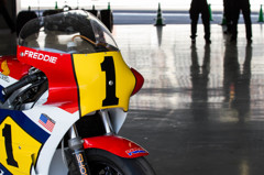 Fast Freddie