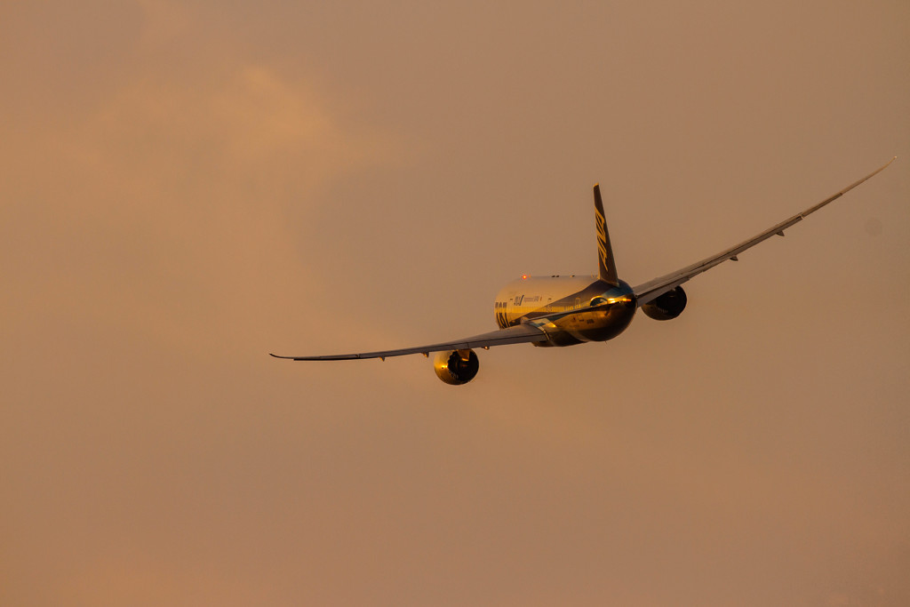787