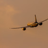 787