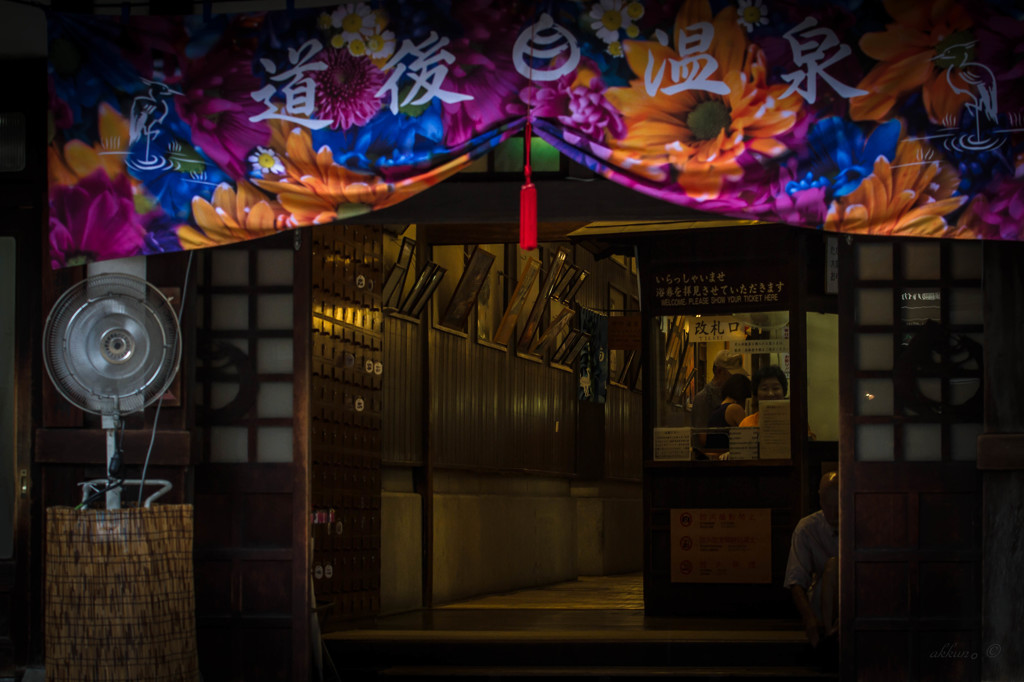 癒しの場