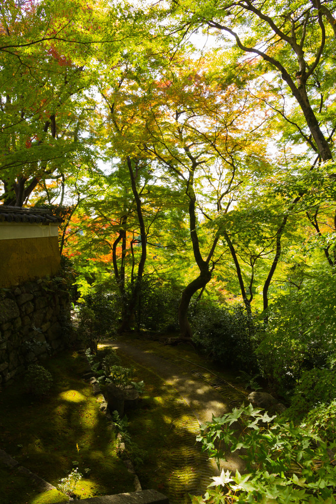 大門寺。②