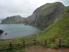 雨の礼文島