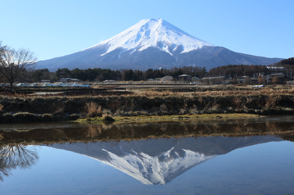 逆さ富士