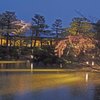 夜桜