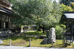 常照皇寺