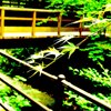 橋の青もみじ