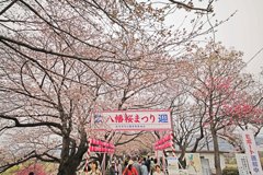 八幡市さくら出会い館