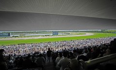 京都競馬場