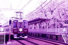 駅の桜