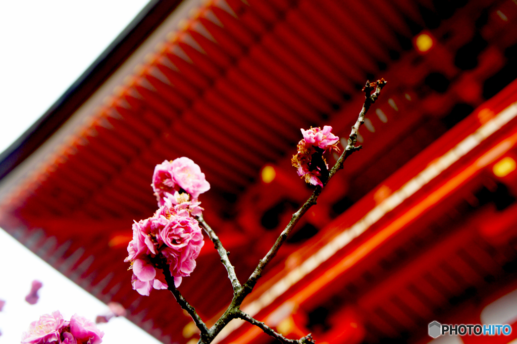 お寺