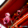 お寺