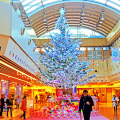 京都駅地下街クリスマスツリー2014