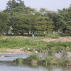 河の上を優雅に飛ぶ
