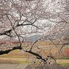 八幡市さくら出会い館