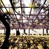 京都鳥羽下水処理場