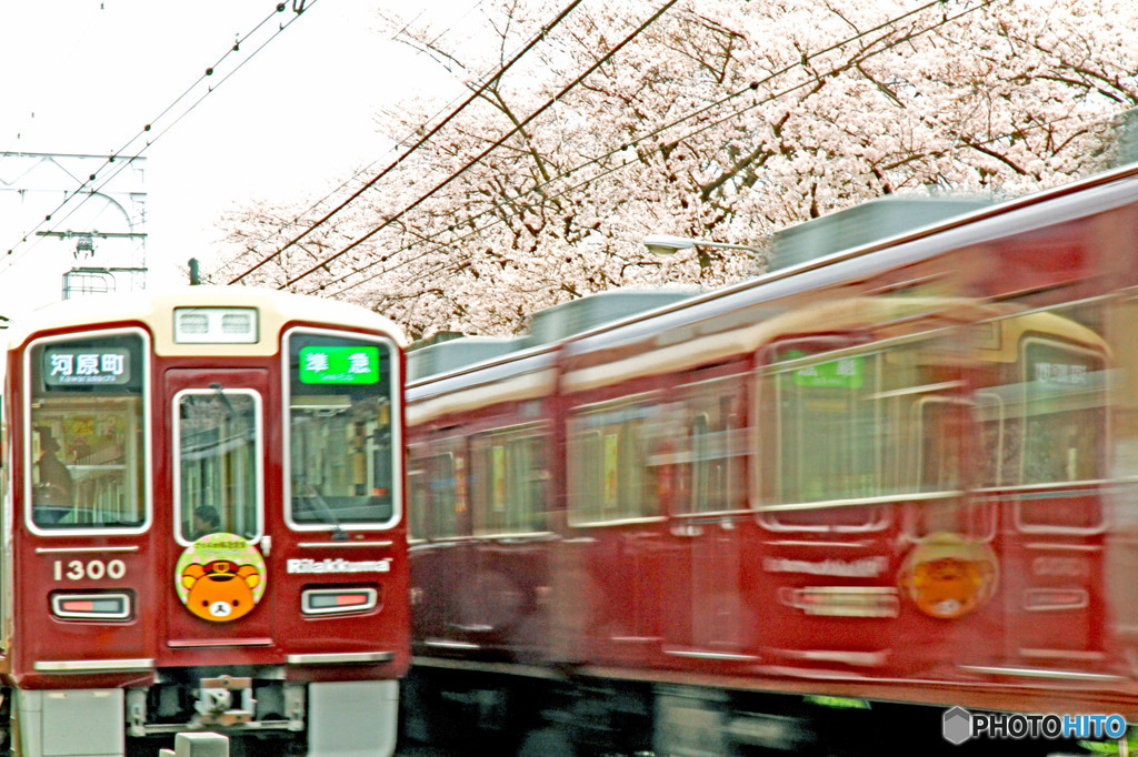 阪急電車と桜