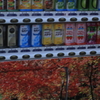 自販機も秋バージョン