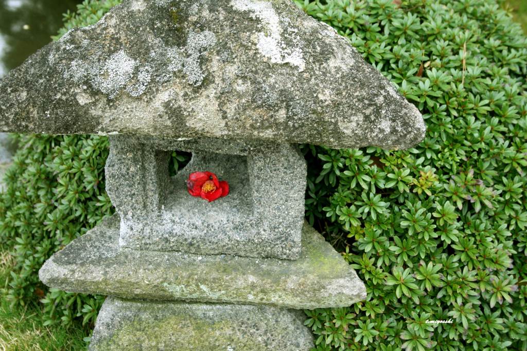 石灯篭の上の春