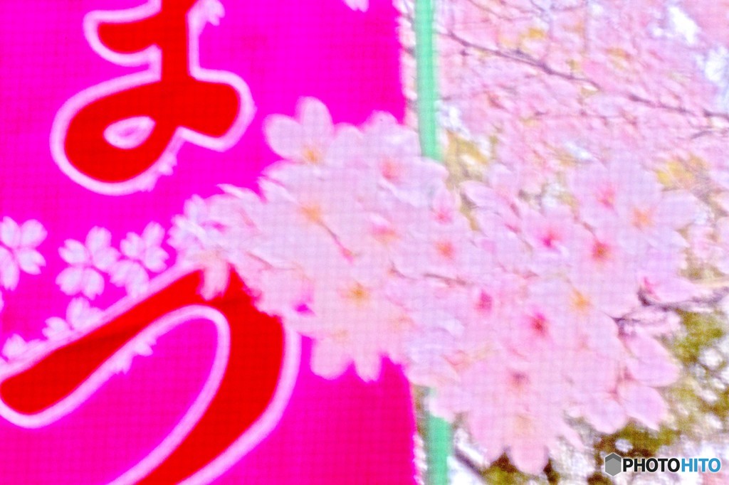 桜まつり