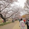 八幡市さくら出会い館