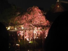 ライトアップ