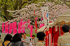 桜まつり