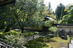 常照皇寺