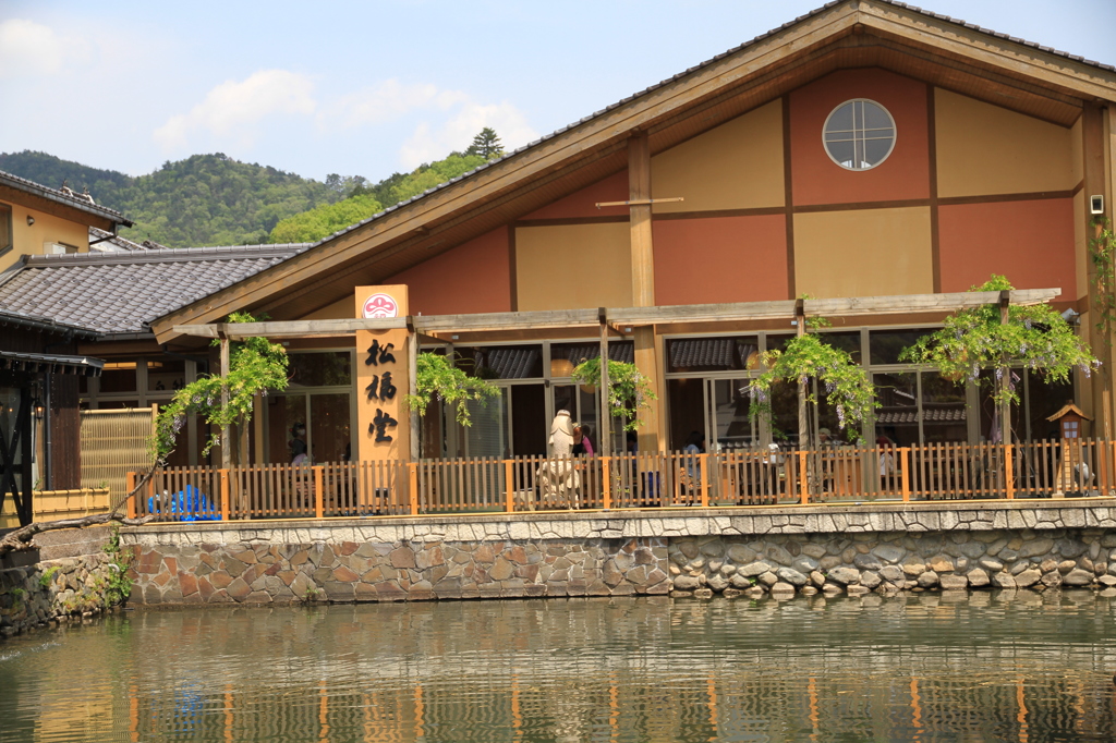 池を沿いの食道
