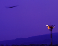 夜空に向かって