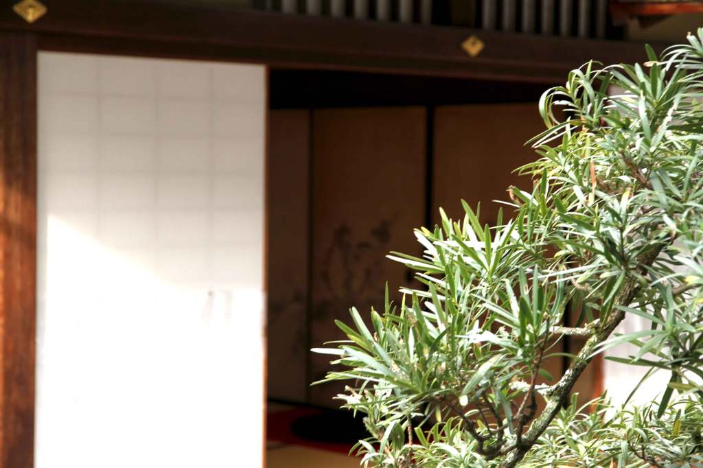 妙心寺