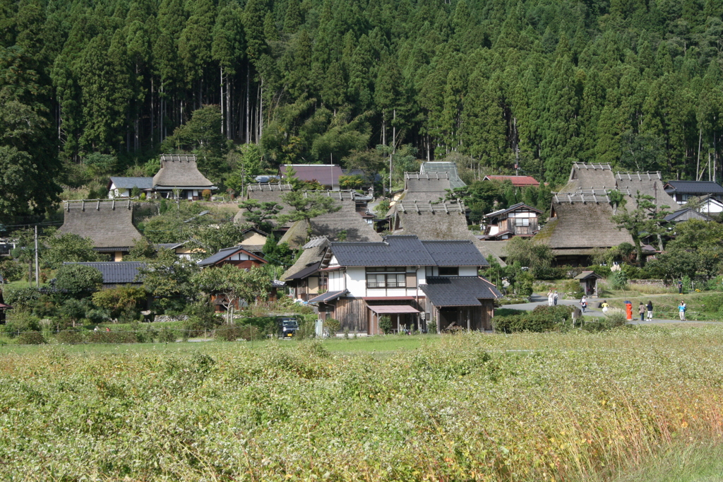 風景